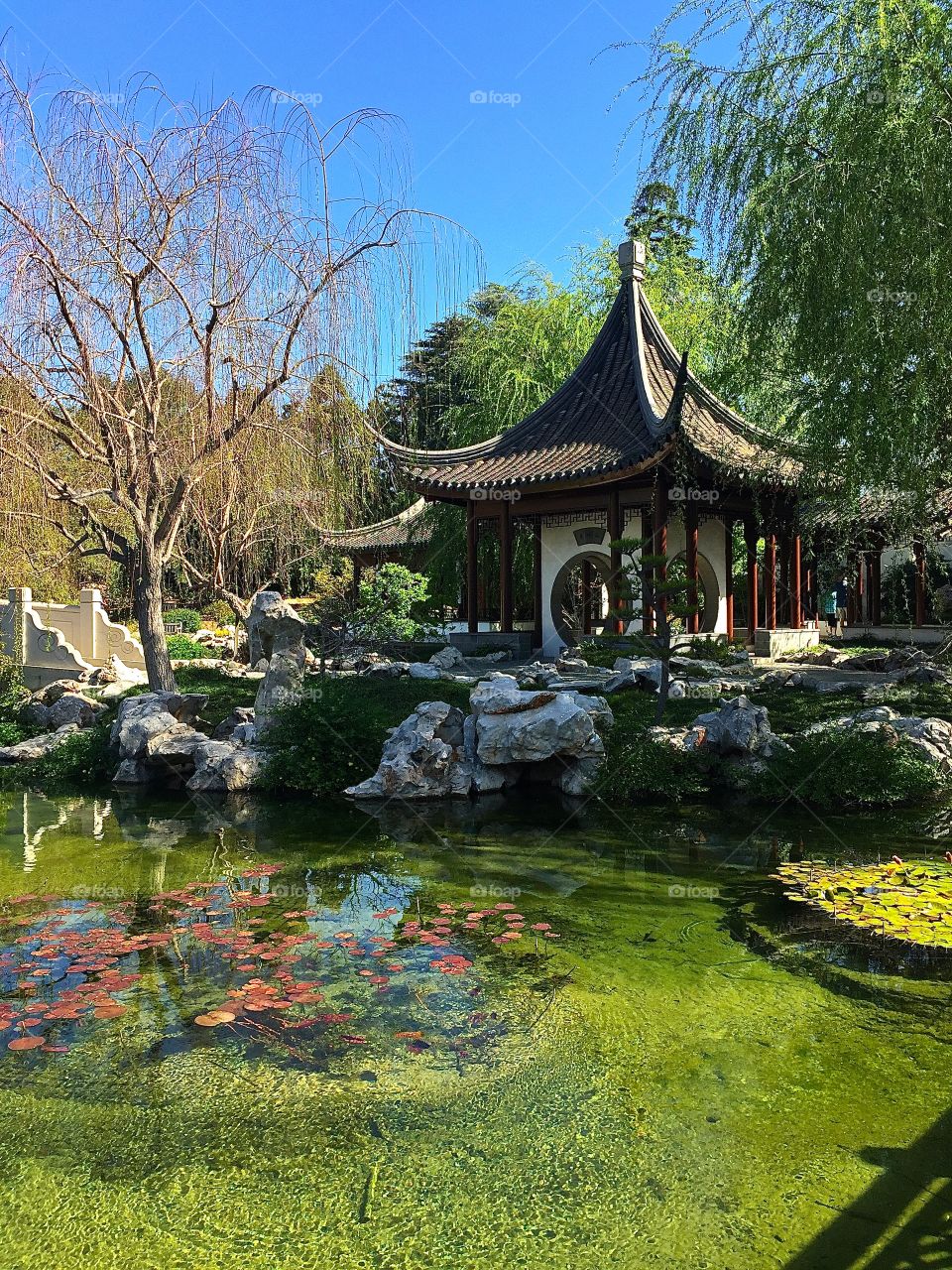 Pavilion, Chinese Gardens