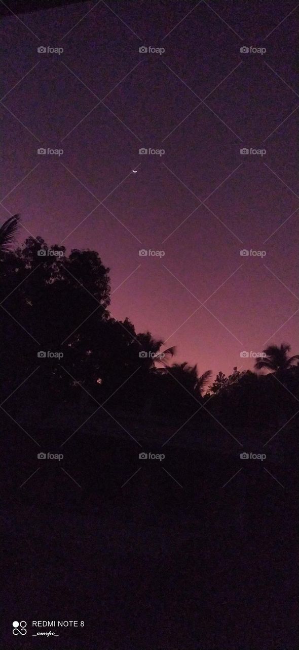 Who is not enchanted by a crescent moon shining in a wine spilt sky? February evenings be like....calm... peaceful...and mystical.