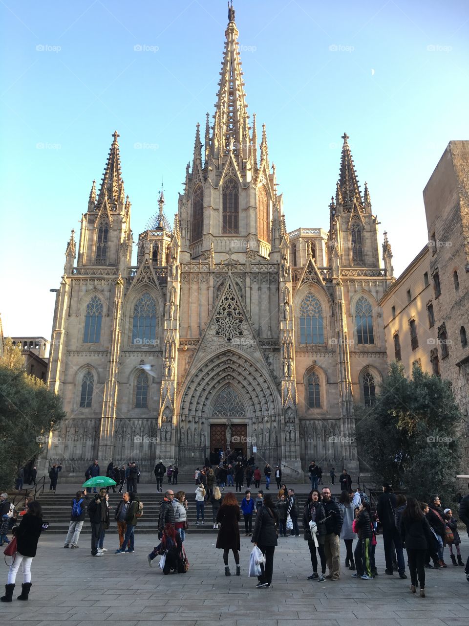 Catedral barcelonesa 