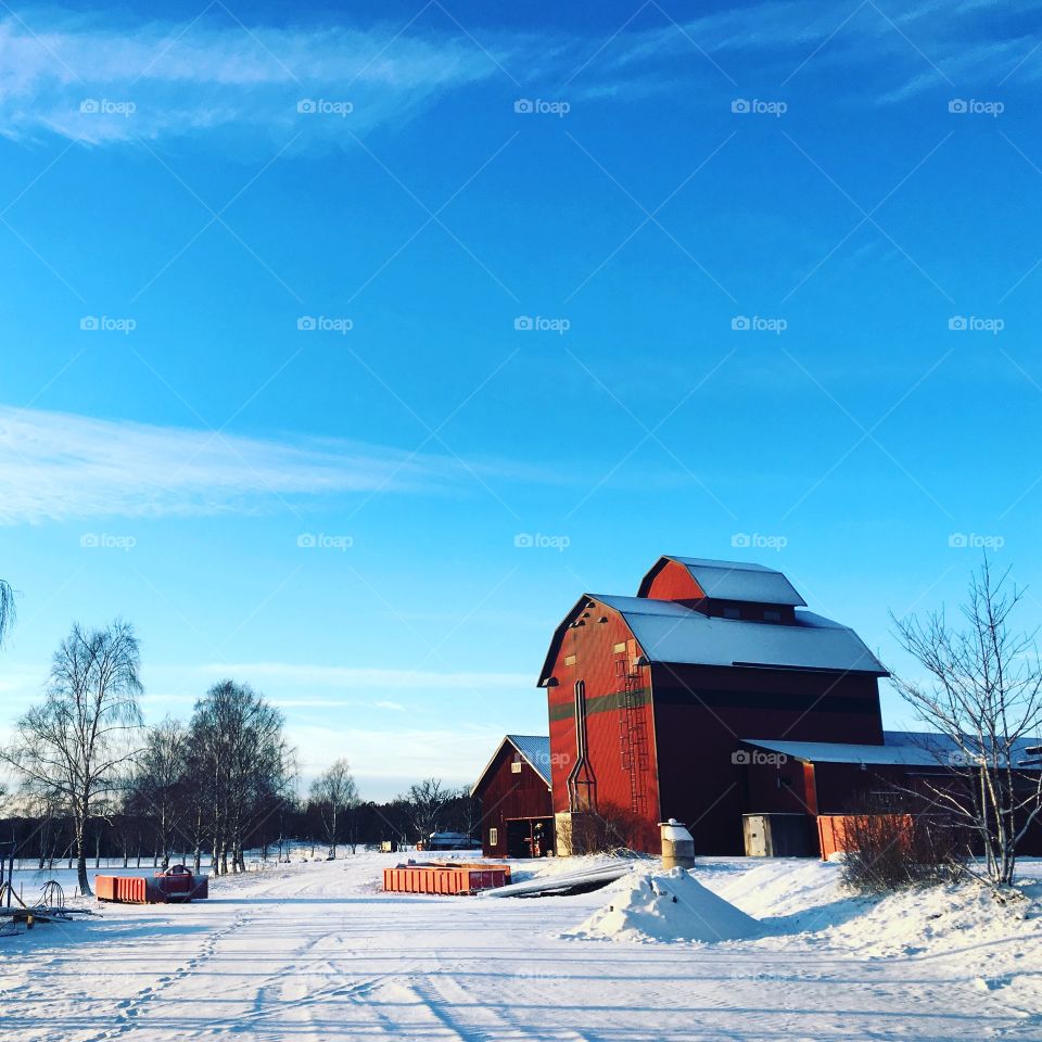 Farm in winter landscape 