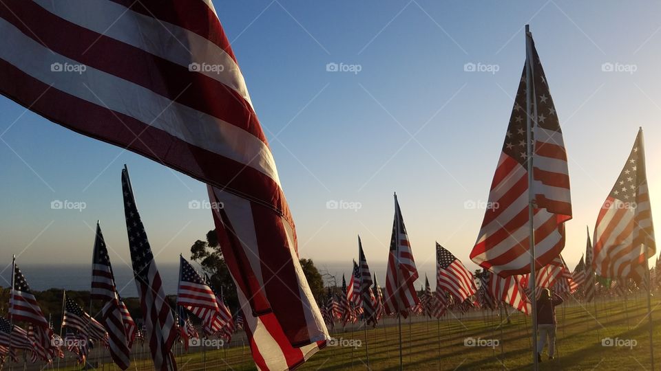 Flags from the fallen's country of origin