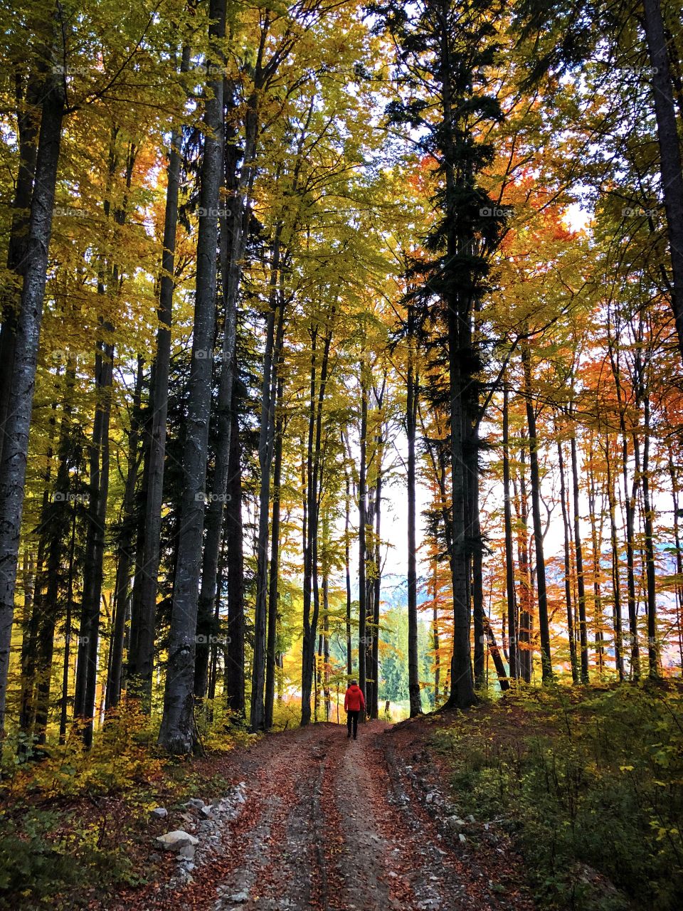 Hiking in Fall