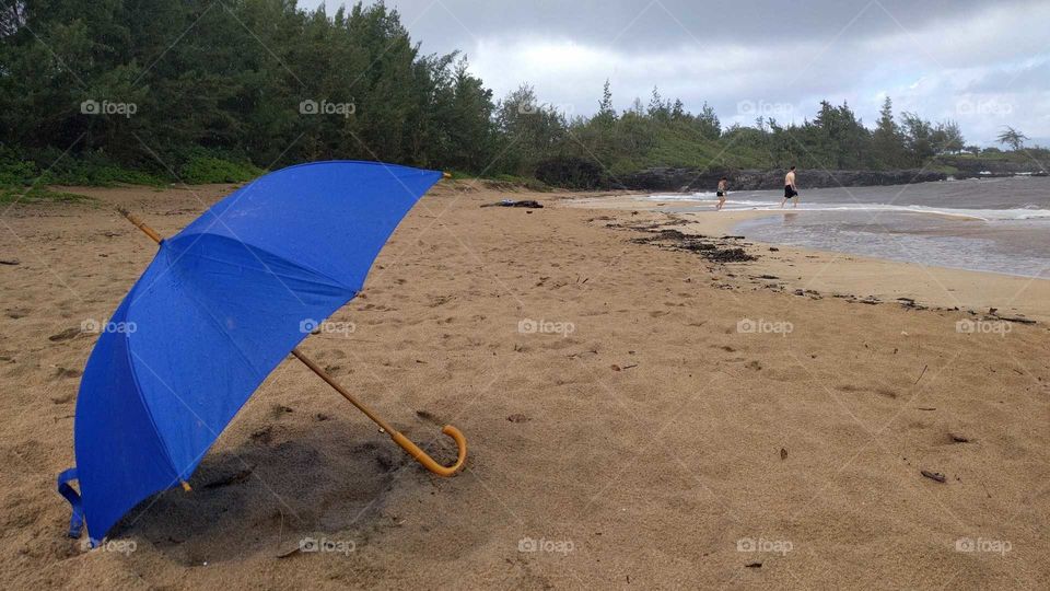 An umbrella visits a Hawaiian beach