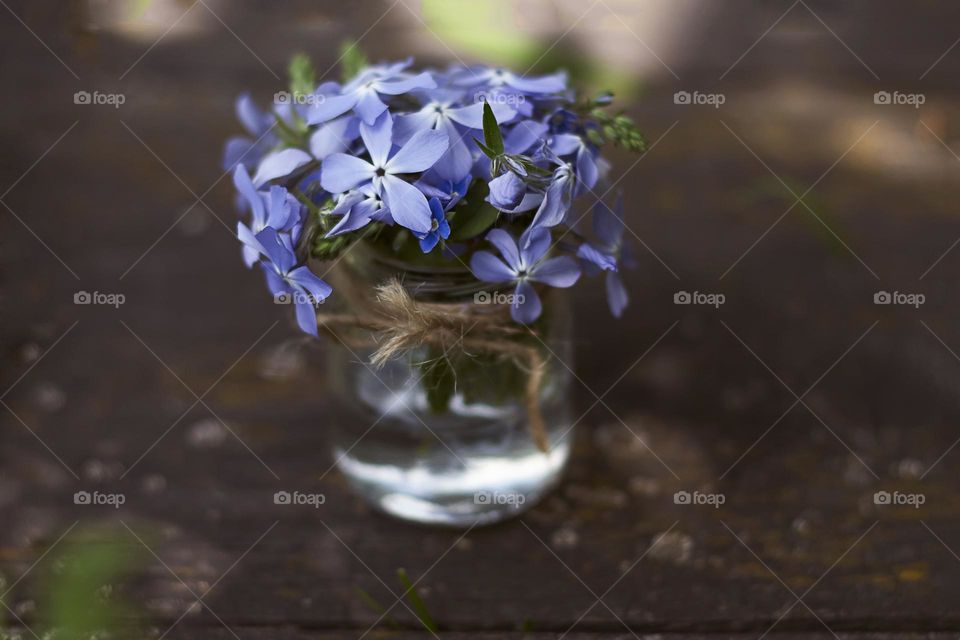 blue flower