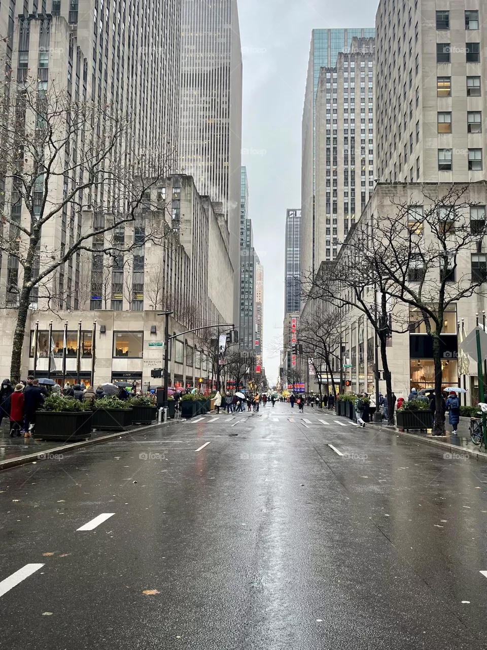Street of New York 