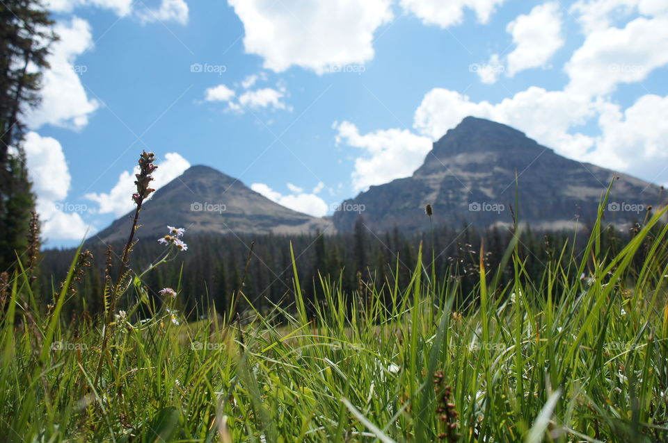 Uinta peaks. 2 mountain peaks in the Uintas