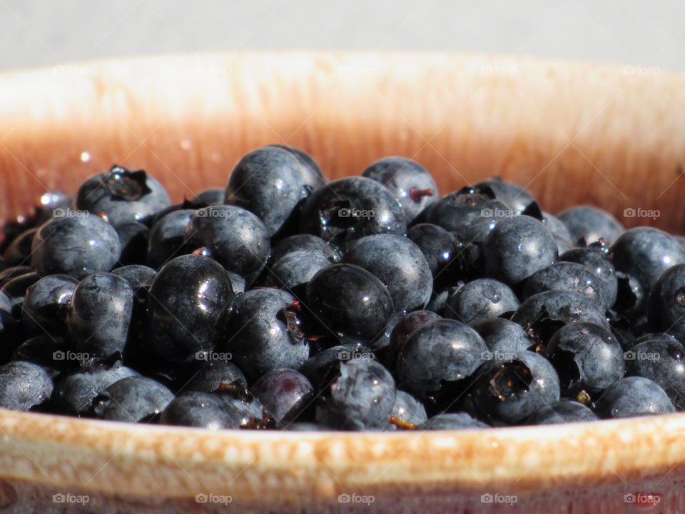 Close-up of blueberry
