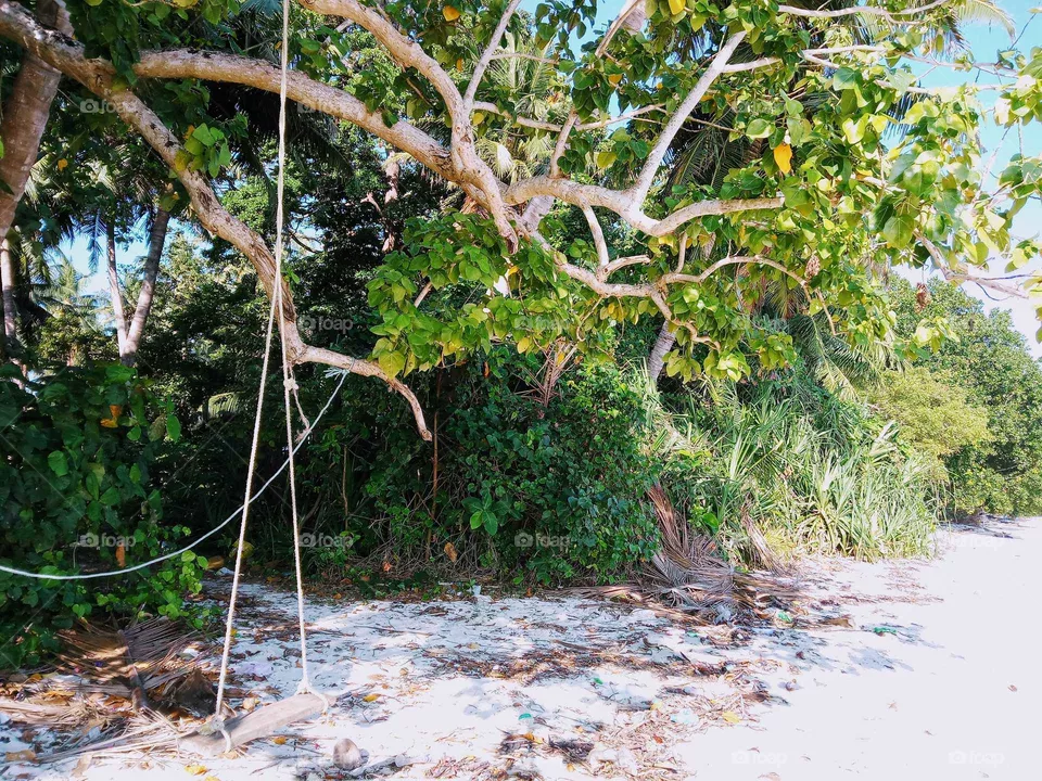 island
