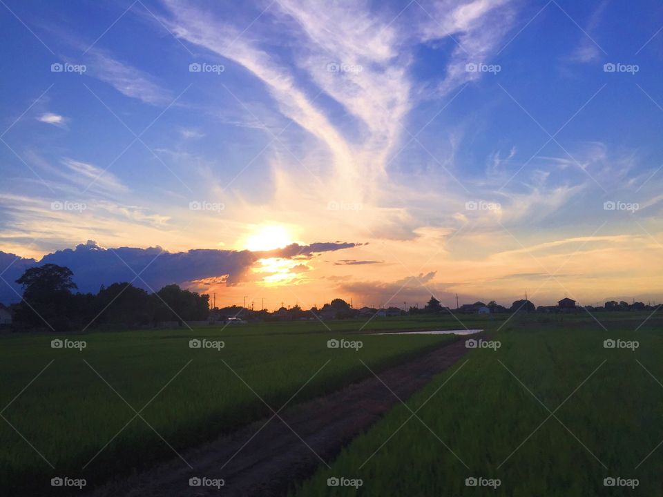 Scenic view of landscape during sunset