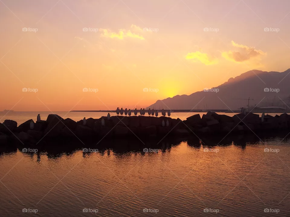 sunset