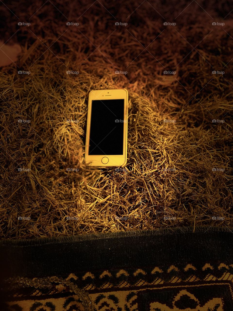 Amazing photo for my phone 