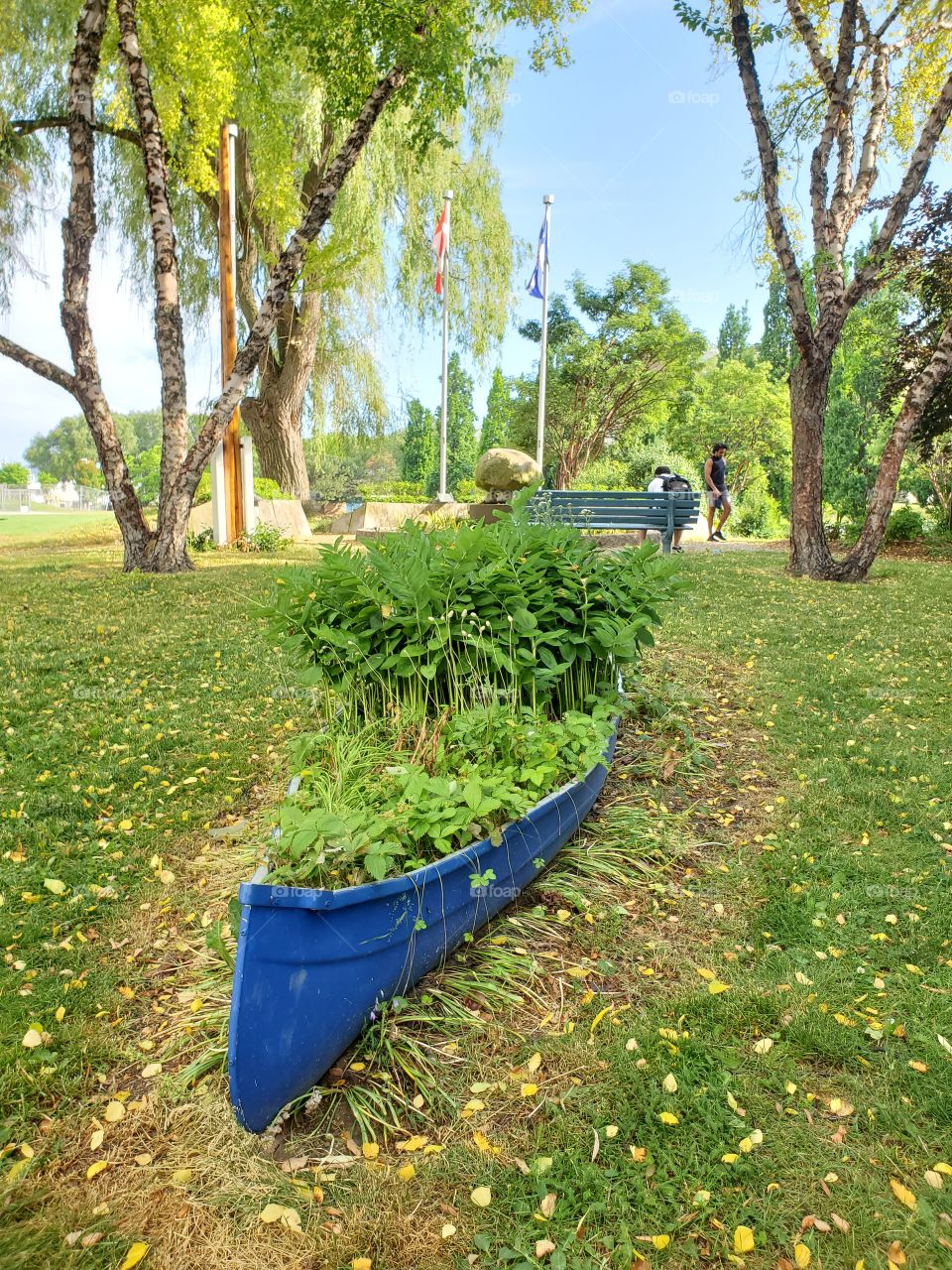 canoe filled with plants