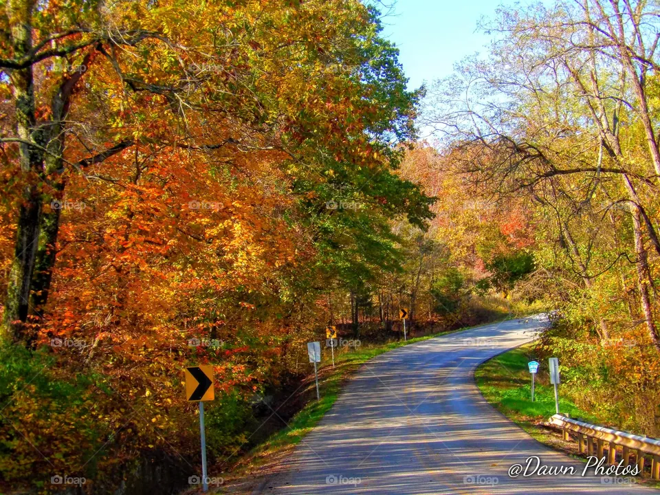 Fall Asphalt
