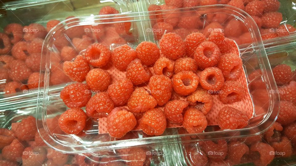 Fresh raspberries in plastic punets