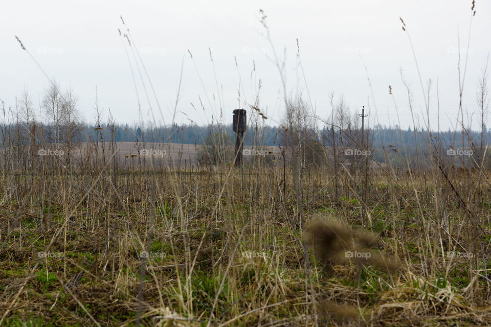 Landscape with water tower
