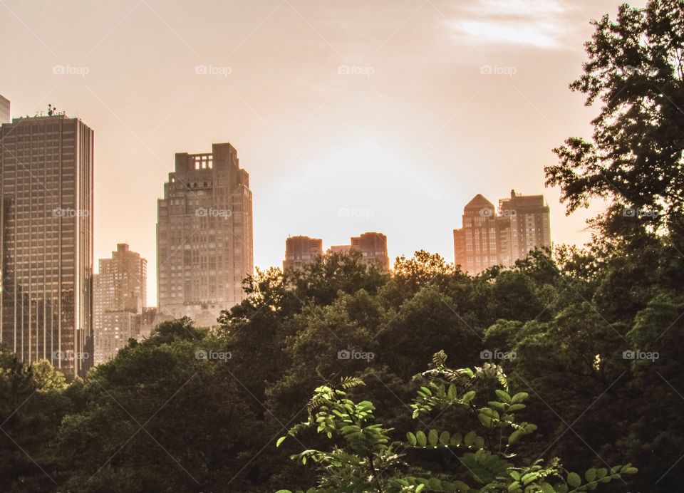 New York, Manhattan, Central Park, people, summer, sunset, trees, plants, grass, green, Park, buildings, architecture, skyscrapers nature, city, big city, panoramic view, 