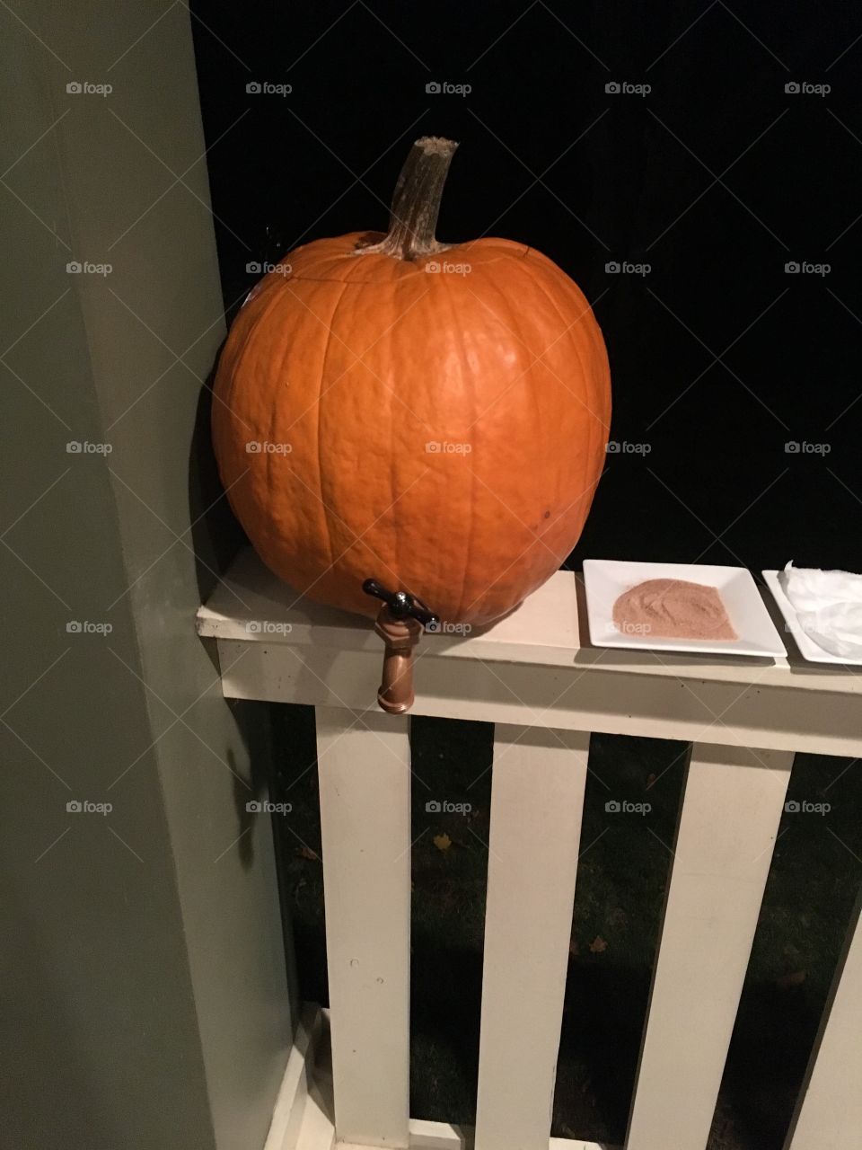 No Person, Halloween, Grow, Pumpkin, One