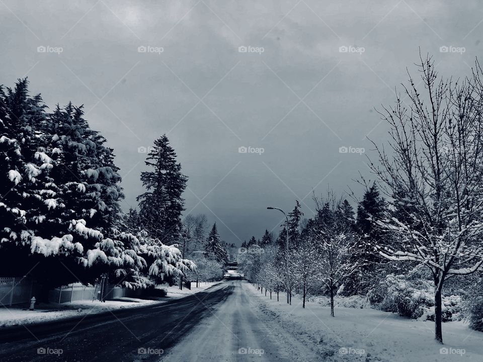 Nothing but snow for miles. 