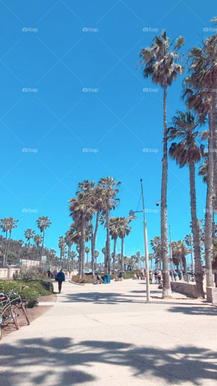 Venice Beach California promenade in a beautiful and sunny day next to the beach side