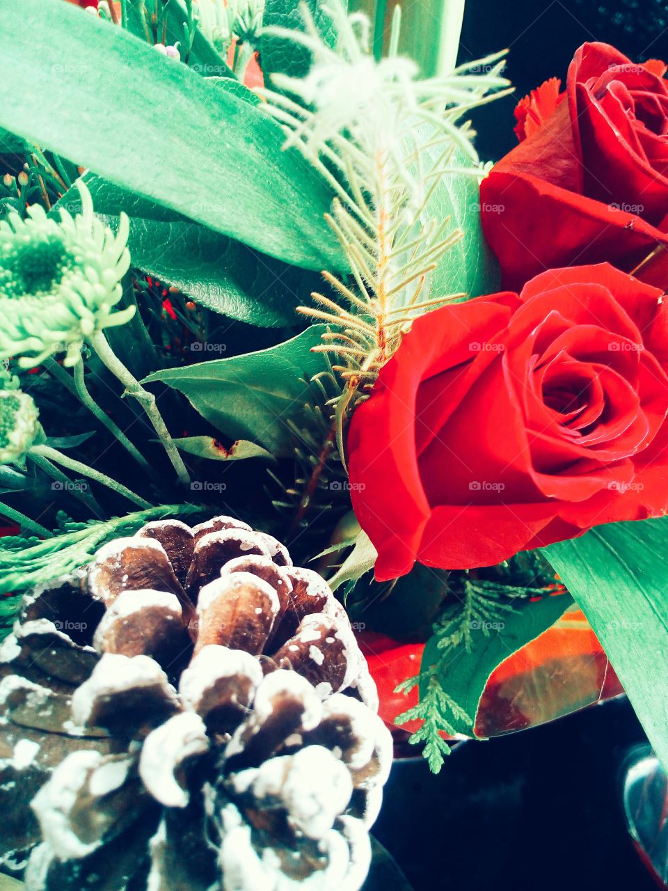 Roses and Pine cones, Christmas is arriving!