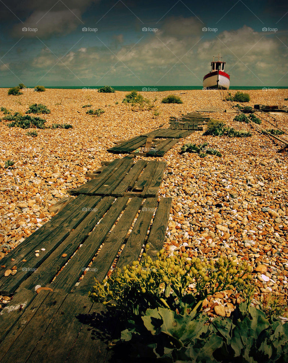 Dungeness