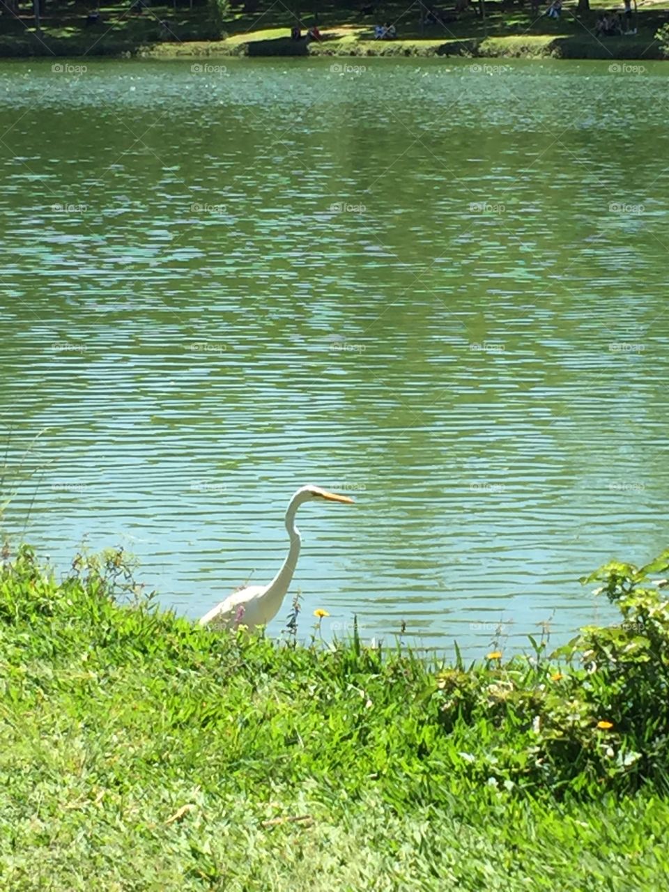 Parque ibirapuera