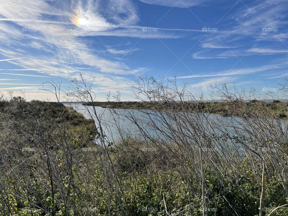 View over water, King’s Lynn, Shepherd’s Port