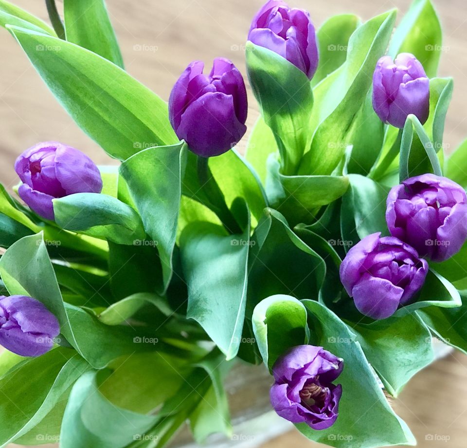 Purple bouquet 