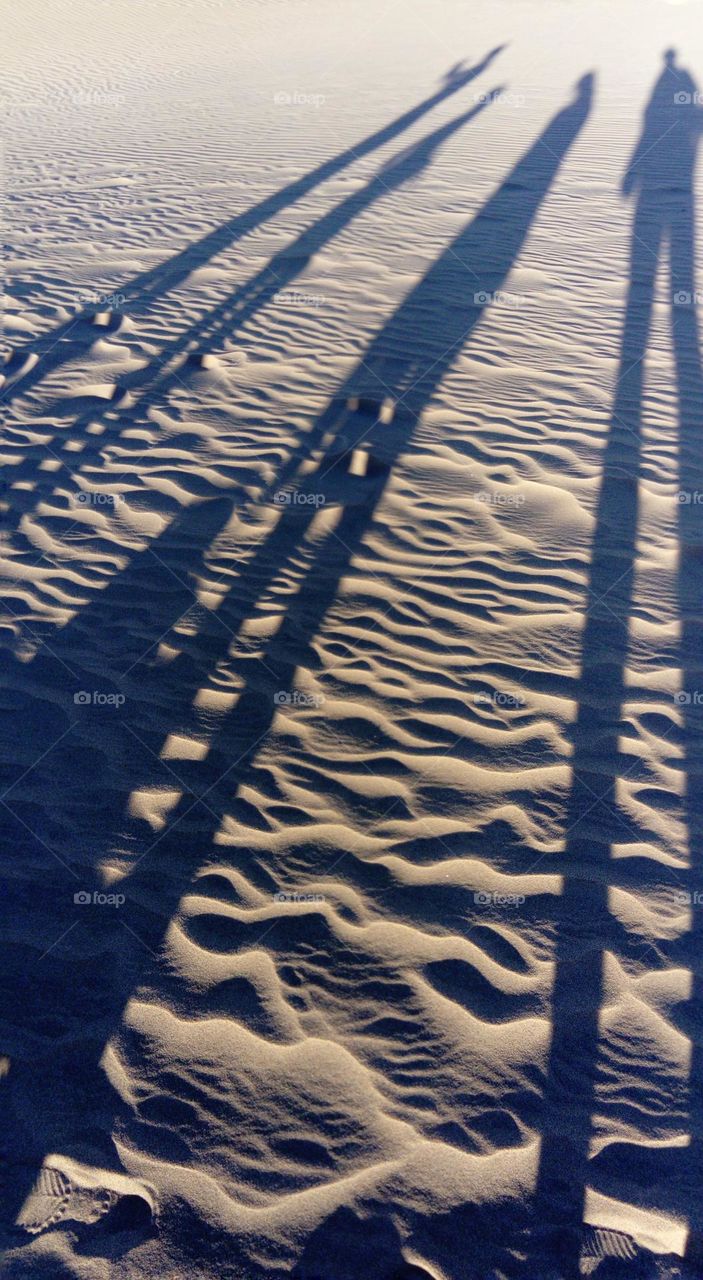shadows on the beach