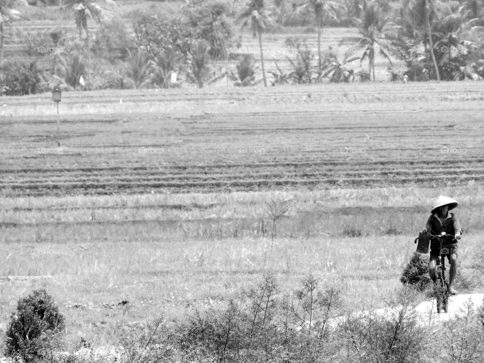 a farmer is pedaling his bicycle home from his field bringing grass to feed his cattle