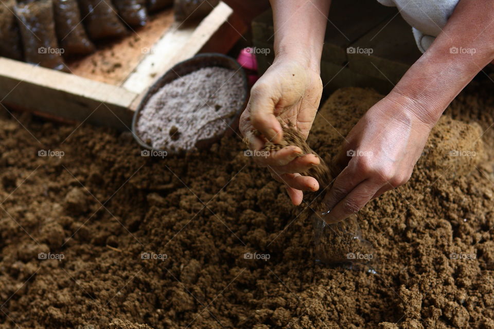 Person working in field