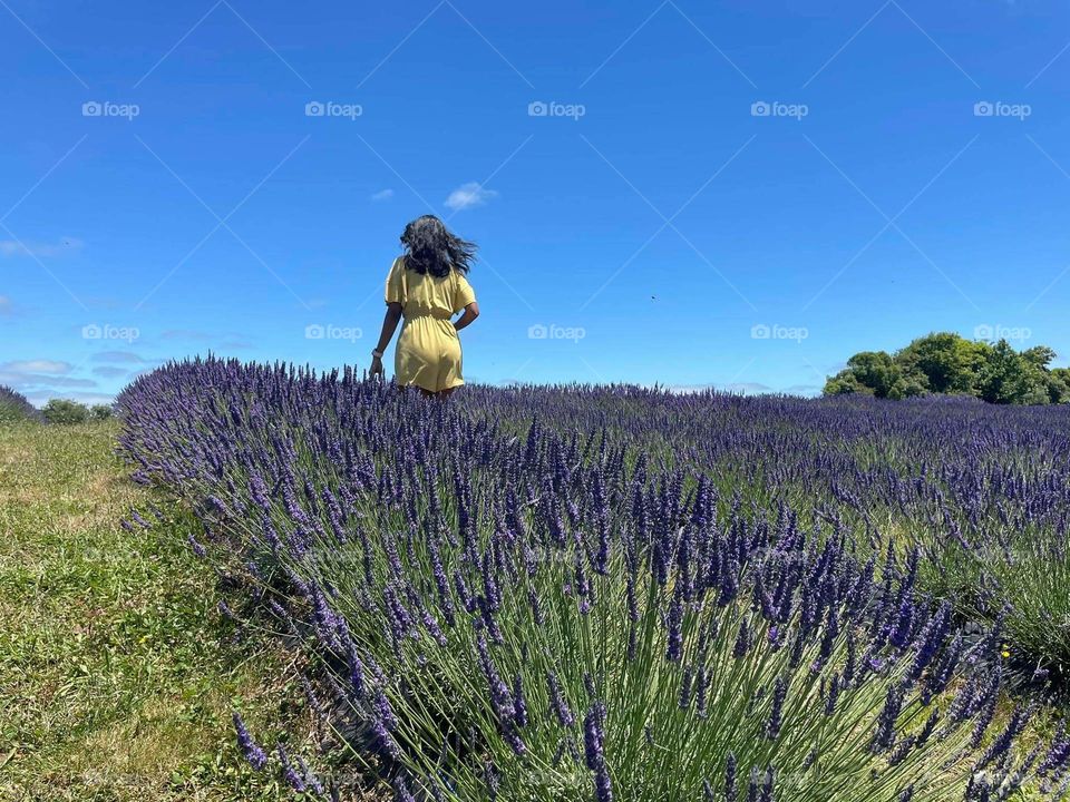 Relax and enjoying the lavender field