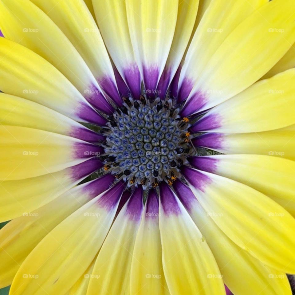 Untouched. Just that stunning. 😍