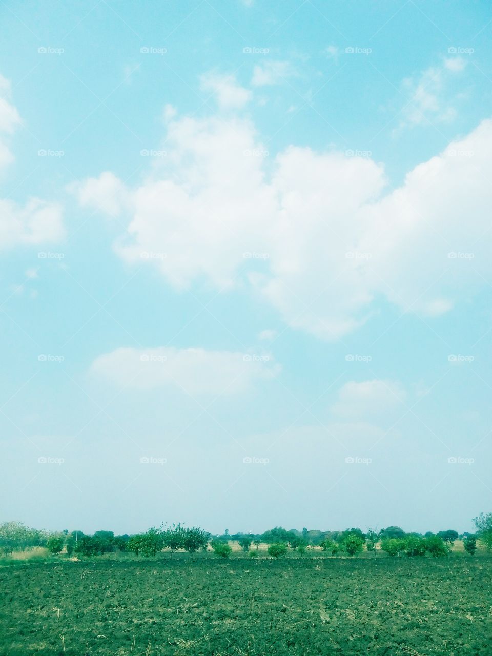 sky land