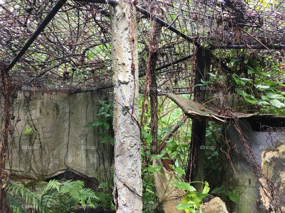 Abandoned Jungleland Zoo