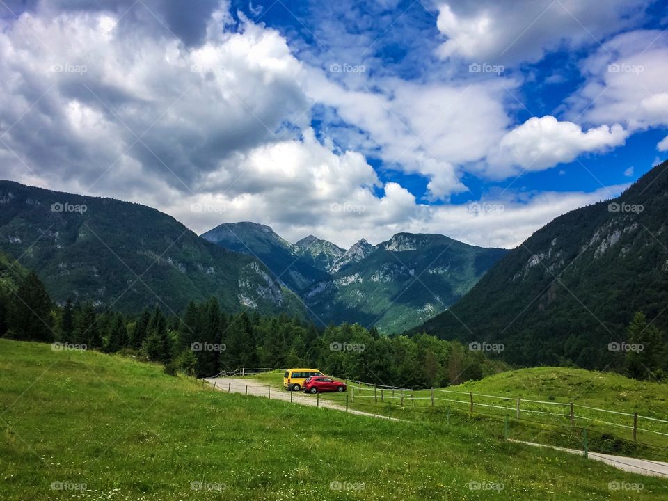 Colorful cars in nature
