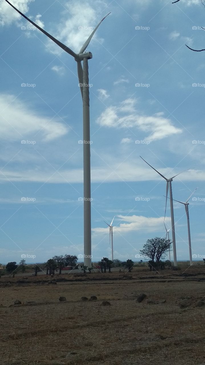 Turbine wind