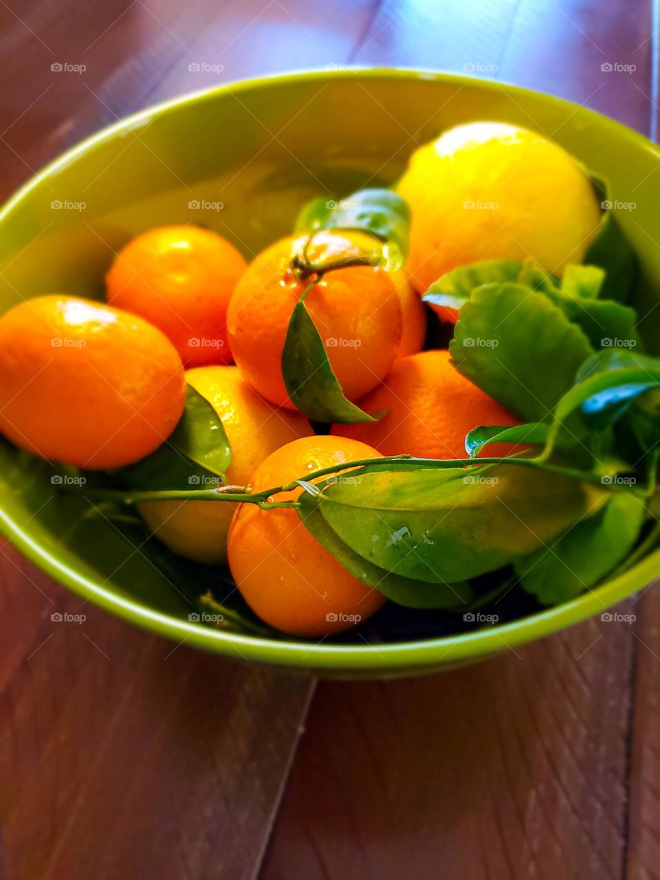 A freshly picked bounty of lemons, oranges and ornamental oranges sit in a bowl on a dinner table