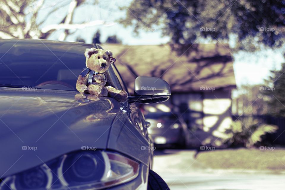 TEDDY BEAR ON A CAR