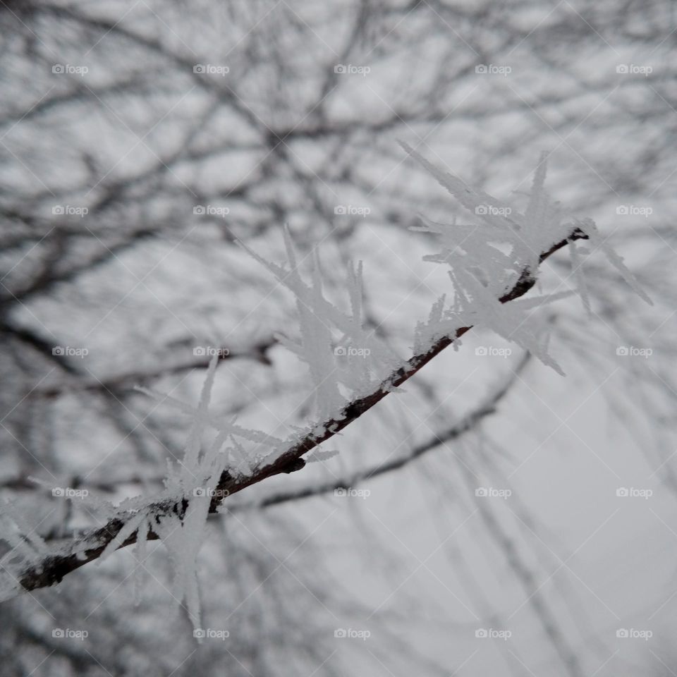 An amazing work of winter❄️📷🌨️🤍☃️