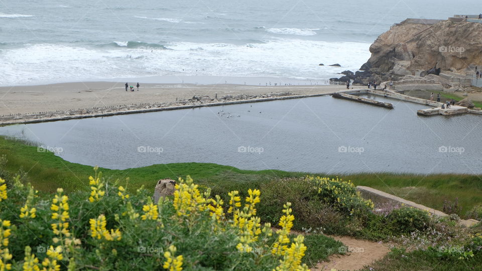 Aerial view of sea