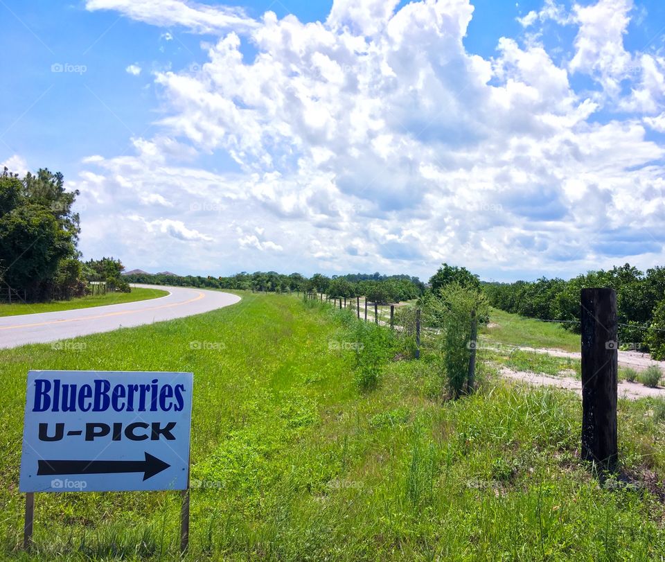 Directional sign to blueberry field
