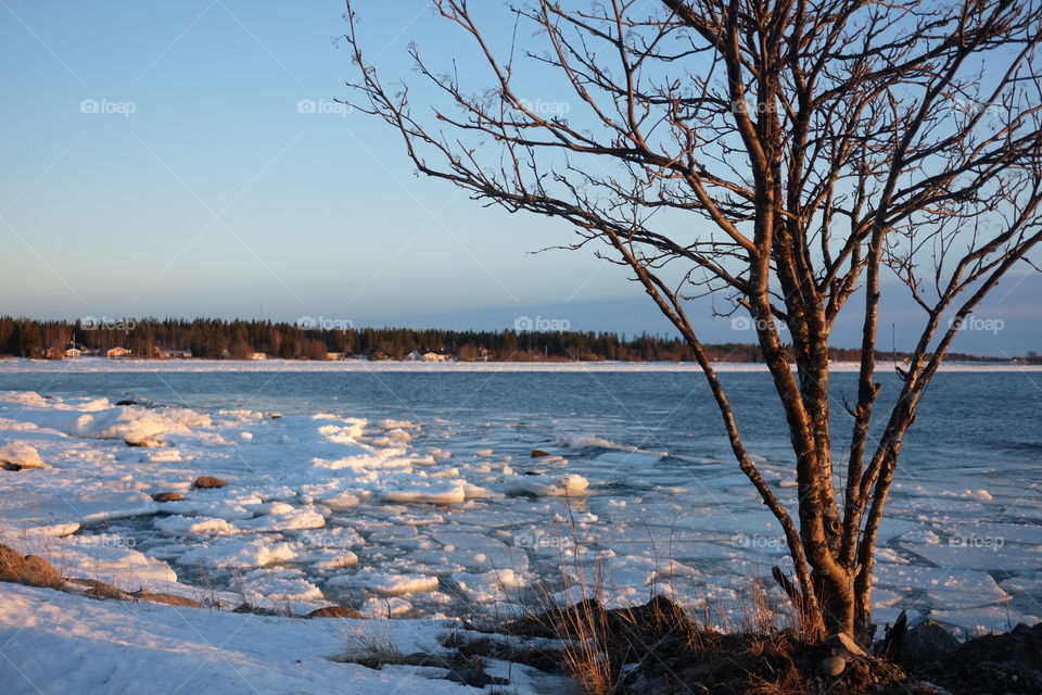 No Person, Water, Landscape, Tree, Winter