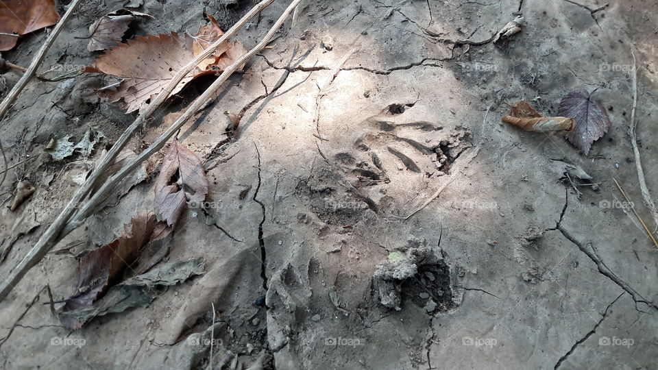 Desktop, Texture, No Person, Dirty, Rock