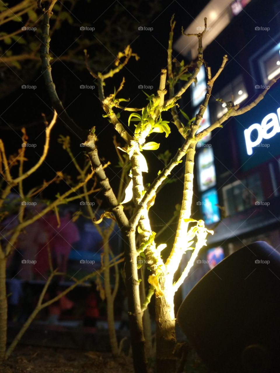 a fabulous mini tree the night light flash