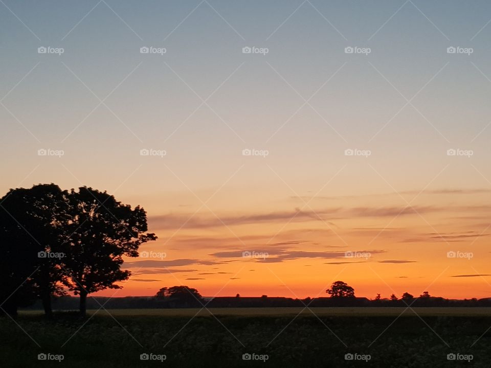 Out of Africa. No seriously it is out of Africa, on the East Coast of the UK ! Orange hues of a deep sunset turn into golden light. Thin dark clouds reach up to the heavens and a pale to mid blue sky. Dark tree and field silhouette  in the forground.