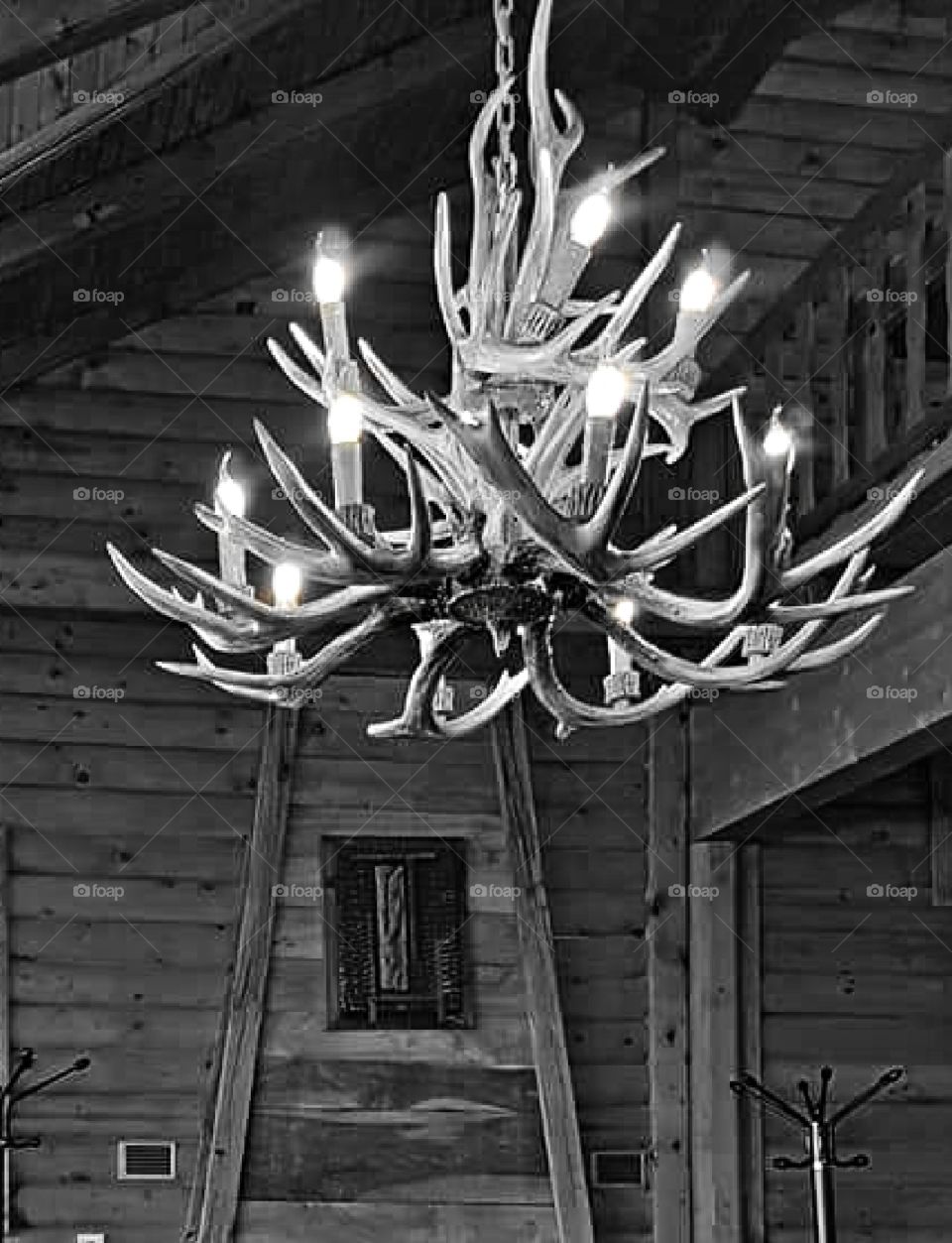 Antler Light