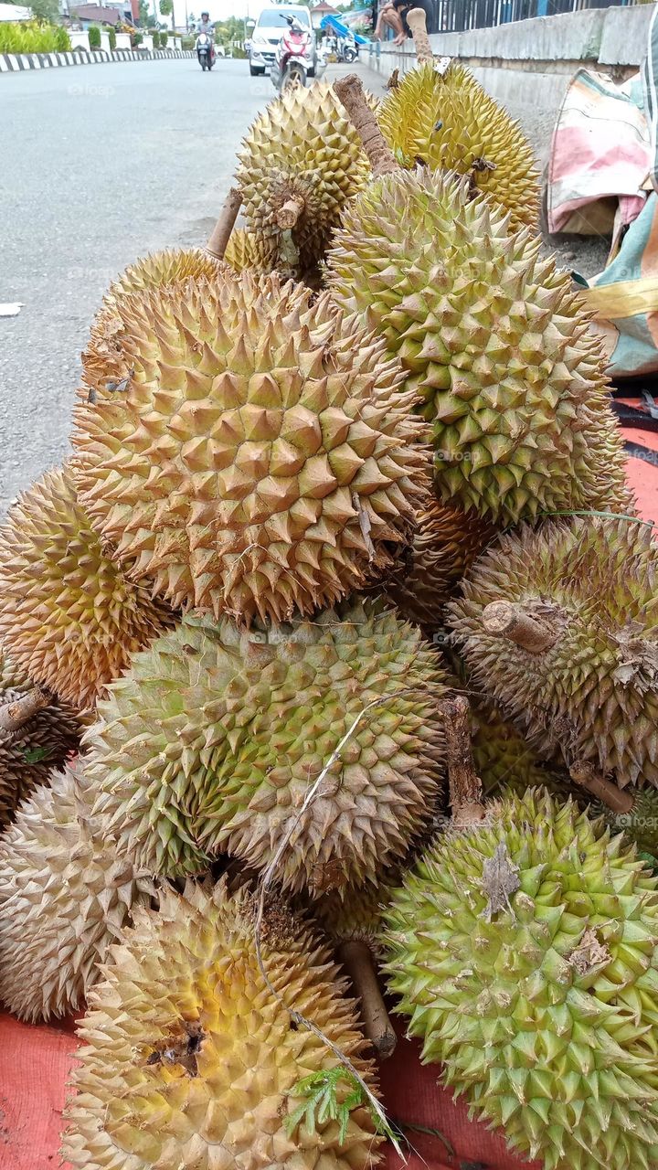 Photo or image or background about one form of durian fruit in South Bengkulu Regency of Indonesia