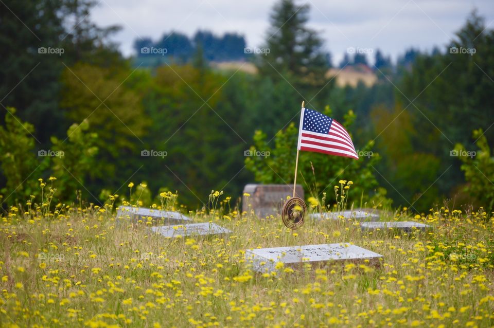 Veterans Day