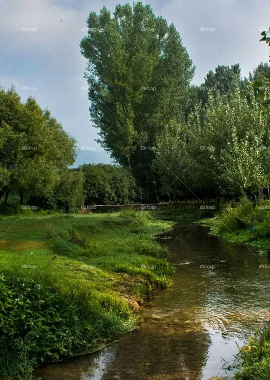 water in green